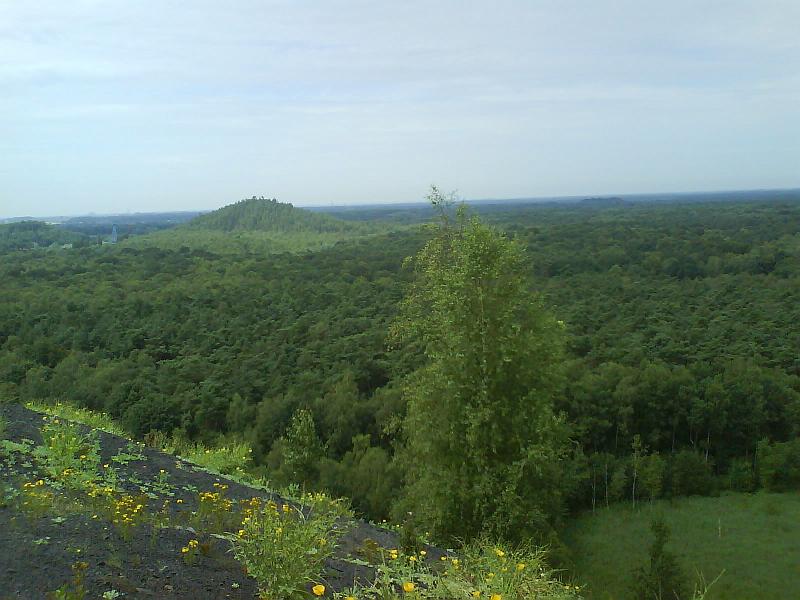 dsc00426.jpg