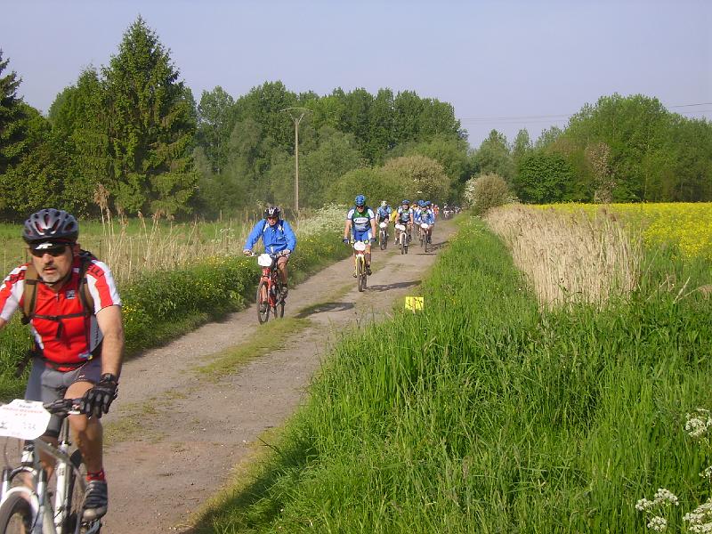 IMGP1245.JPG