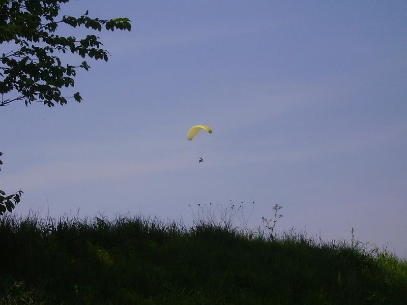 IMGP1265.JPG