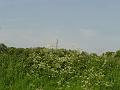 DSC00194